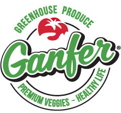 Logo_ganfer2